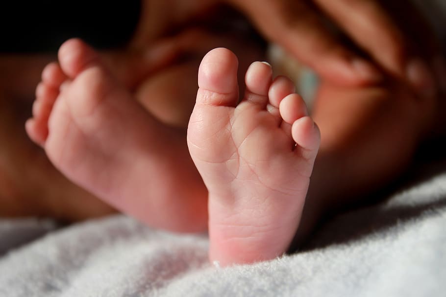 pés de bebê, recém-nascido, perna, bebê, criança, pequeno, infância, corpo, infantil, pouco