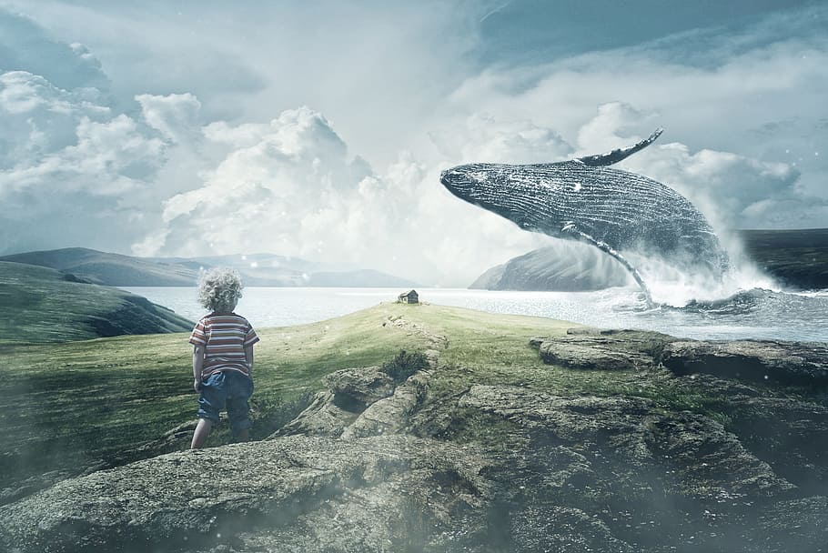 boy, standing, sea, blue, whale, landscape, wind, wal, child, by the sea