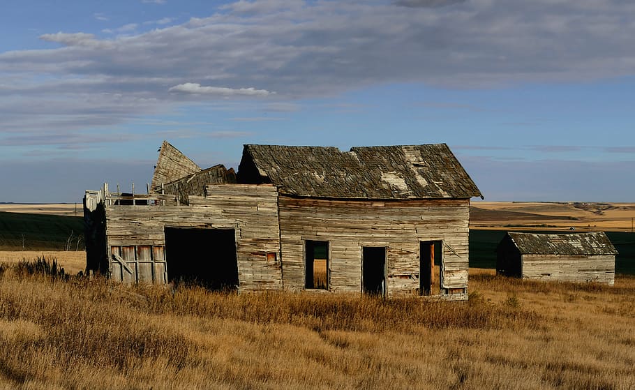 Old, Alberta, log, house, middle, grass, field, built structure, architecture, sky