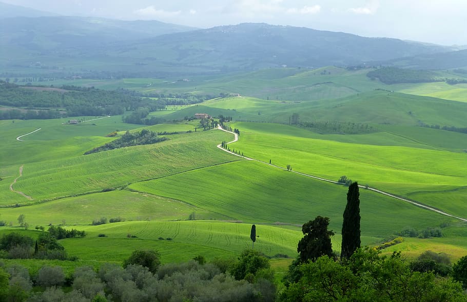val d'orcia, tuscany, italy, scenics - nature, landscape, green color, beauty in nature, tranquil scene, environment, tranquility
