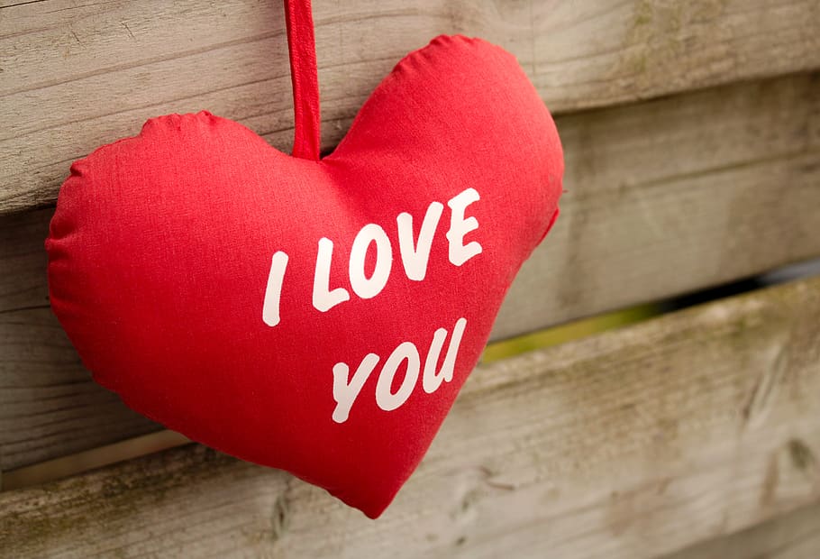 eu te amo, vermelho, madeira, romântico, amor, feliz, você, texto, presente, cartão