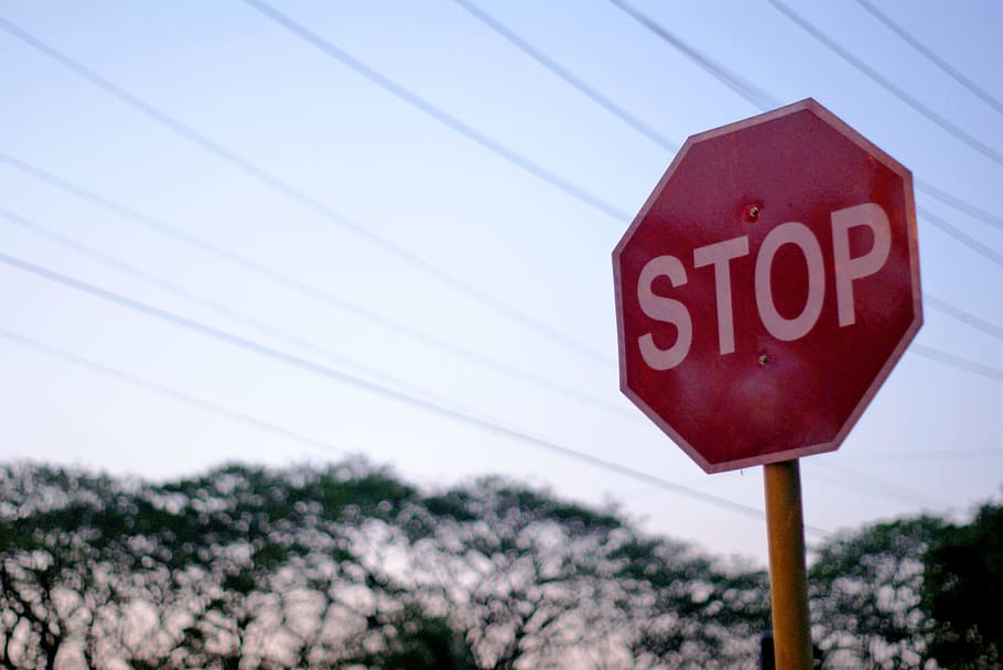 Stop, Sign, Lines, Trees, Signboard, stop, sign, stop sign, communication, red, warning sign