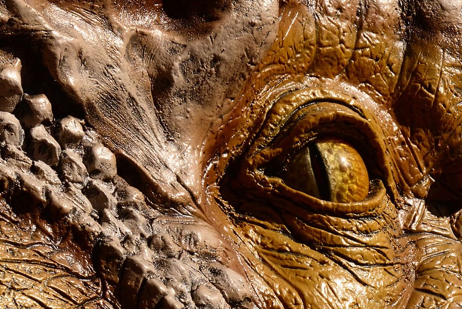 ojo de dinosaurio, globo ocular, reptil, dragón, oro, creatividad, arte y artesanía, escultura, artesanía, representación humana