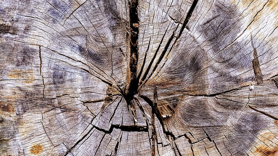 Losa gigante de madera marrón para dormir, texturizado, fotograma completo, fondos, madera - material, patrón, árbol, agrietado, corteza, primer plano