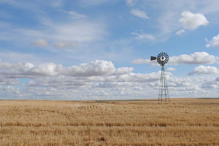 farm, west, windmill, western, rural, country, cowboy, landscape, field, rancher