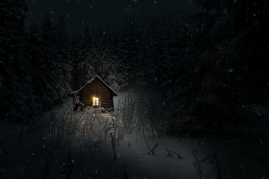 사진, 갈색, 나무, 집, 겨울, 오두막, 밤, 눈, 추위, 건축물