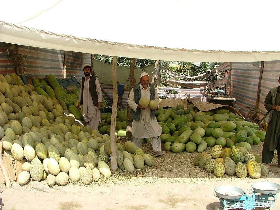 man, holding, two, watermelons, melons, market stall, kabul, fruits, firm, full