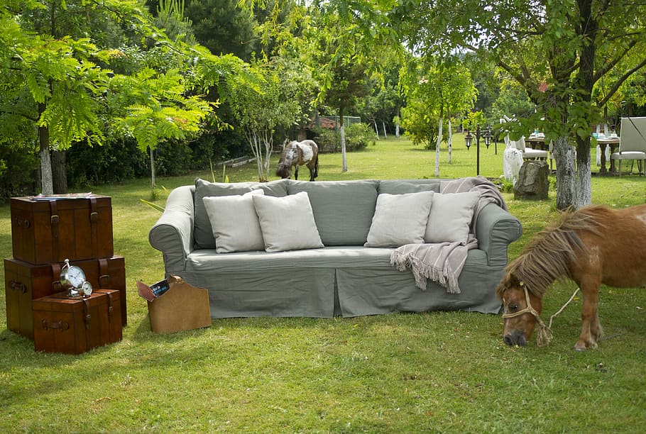 Gris, sofá, al lado, marrón, caballo, al aire libre, sillón, jardín, decorativo, arquitectura