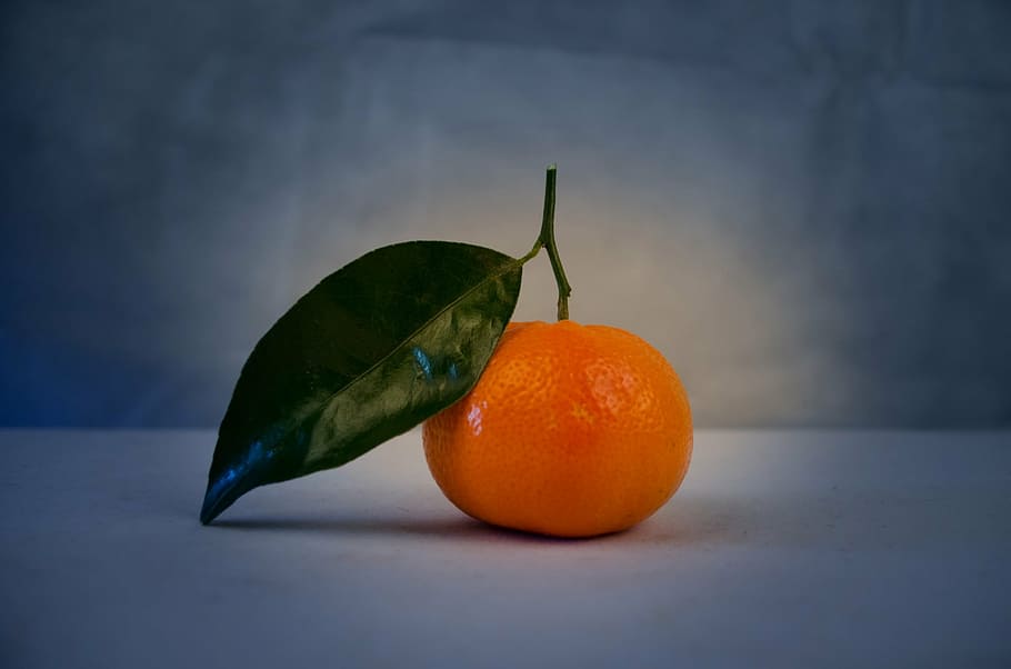 orange, fruit, white, panel, mandarin, green, leaf, close-up, isolated, tangerine