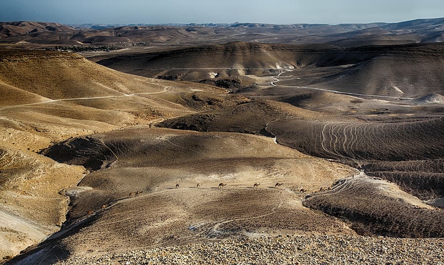 desert during daytime, dead sea, timna, red, arava, wide, brown, canyon, cliff, climate
