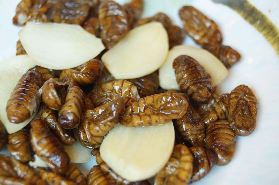 chrysalis, silkworm, garlic chrysalis, food, food and drink, freshness, still life, close-up, indoors, healthy eating