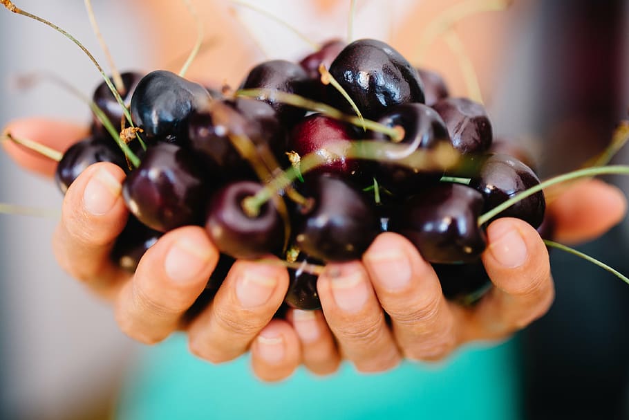 person, holding, bunch, cherry, fruits, cherries, hands, food, healthy, fruit