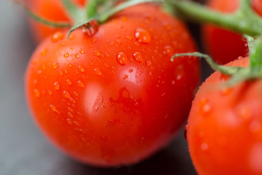 shot, fresh, tomatoes, Closeup, food/Drink, food, healthy, vegetables, tomato, freshness