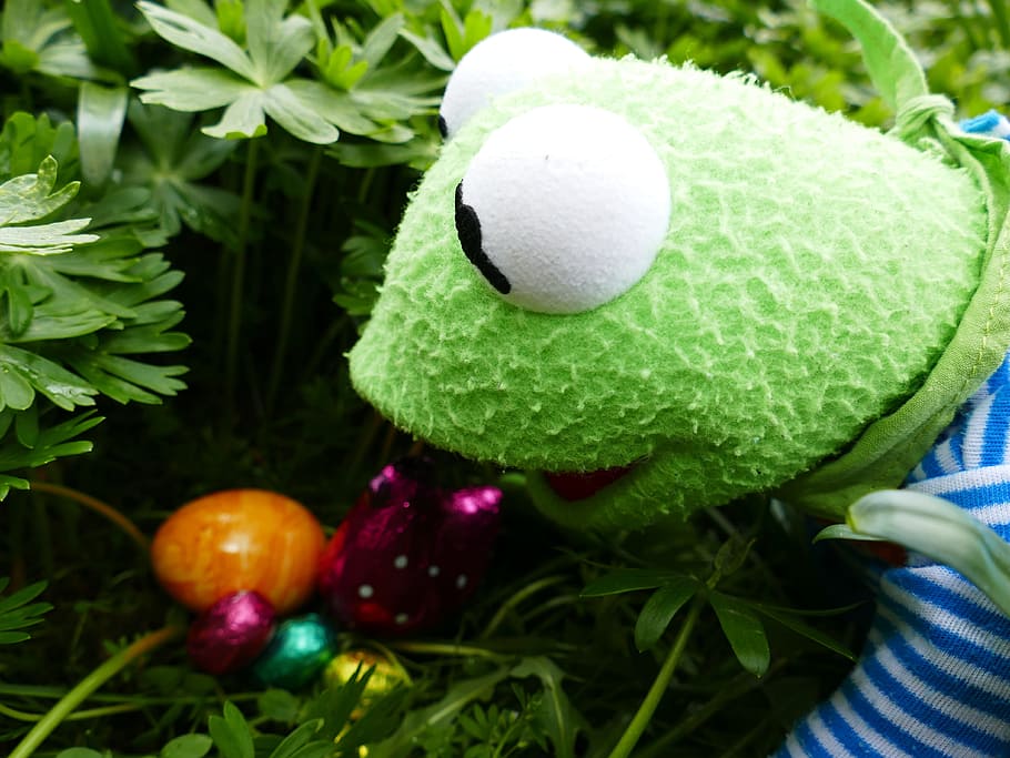 easter, search, easter eggs, easter nest, to find, spring, colorful, search for eggs, hide, cheerful