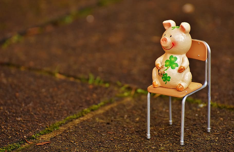 white, pig figurine, chair, lucky pig, figure, luck, lucky charm, funny, sit, sweet