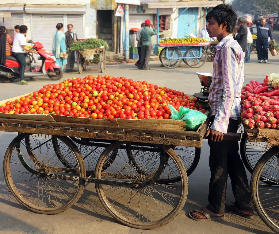perdagangan jalanan, tomat, pedagang, pria, penjual, india, kios pasar, bazaar, jual, sayuran