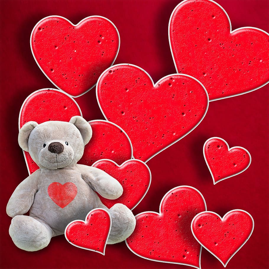 медведь, сердечко картина, любовь, романтика, день святого валентина, фон  романтический, сердечки, открытка, дизайн, чувства | Pxfuel