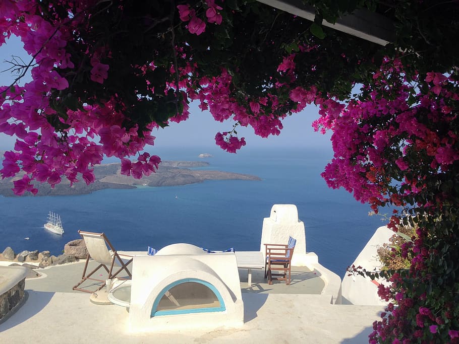 green, tree, purple, flowers, patio, set, island, greece, santorini, blue