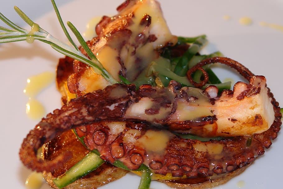 fried, squid, sauce, seafood, octopus, sea, food, restaurant, gourmet, cooking
