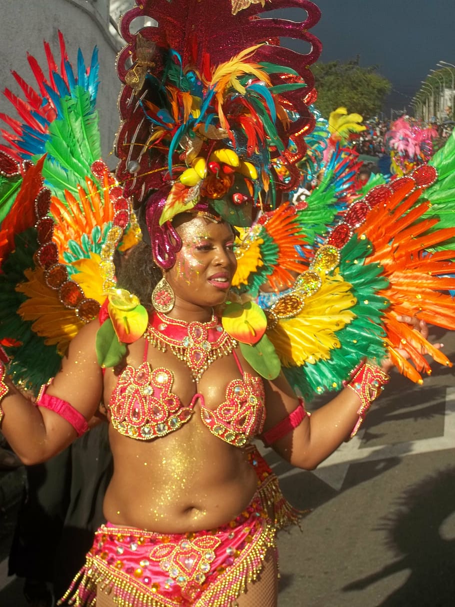 carnival, disguise, costume, multi colored, real people, one person, clothing, traditional clothing, lifestyles, standing