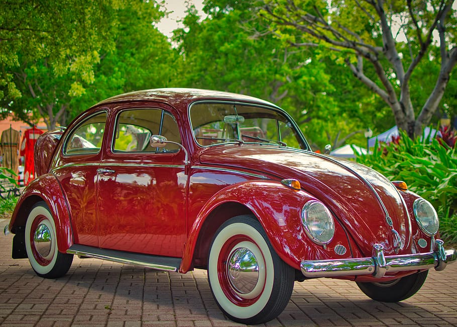 vw, beetle, oldtimer, auto, vehicle, automotive, classic, vintage, pkw, old