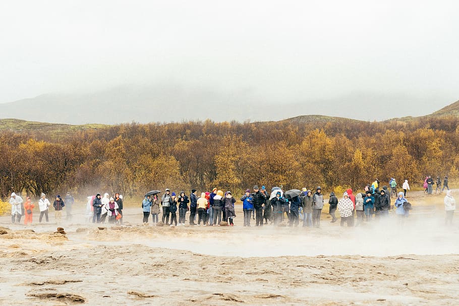 pessoas, em pé, marrom, campo, grupo, areia, fotografado, luz do dia, multidão, guarda-chuva