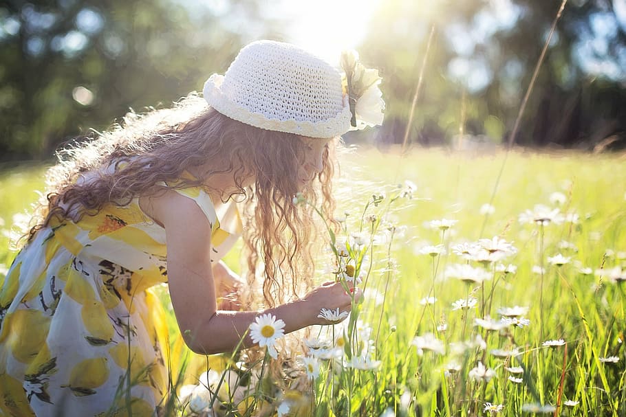girl, yellow-white dress, white, hat, picking, petaled flowers, picking flowers, daisies, little girl, child