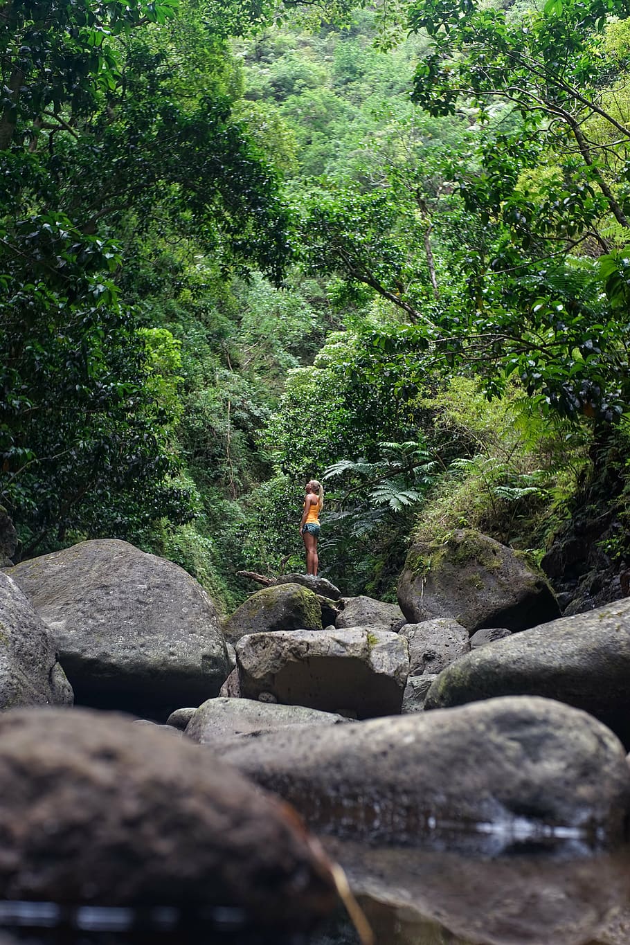 woman, standing, rock, looking, trees, green, travel, rocks, people, shorts
