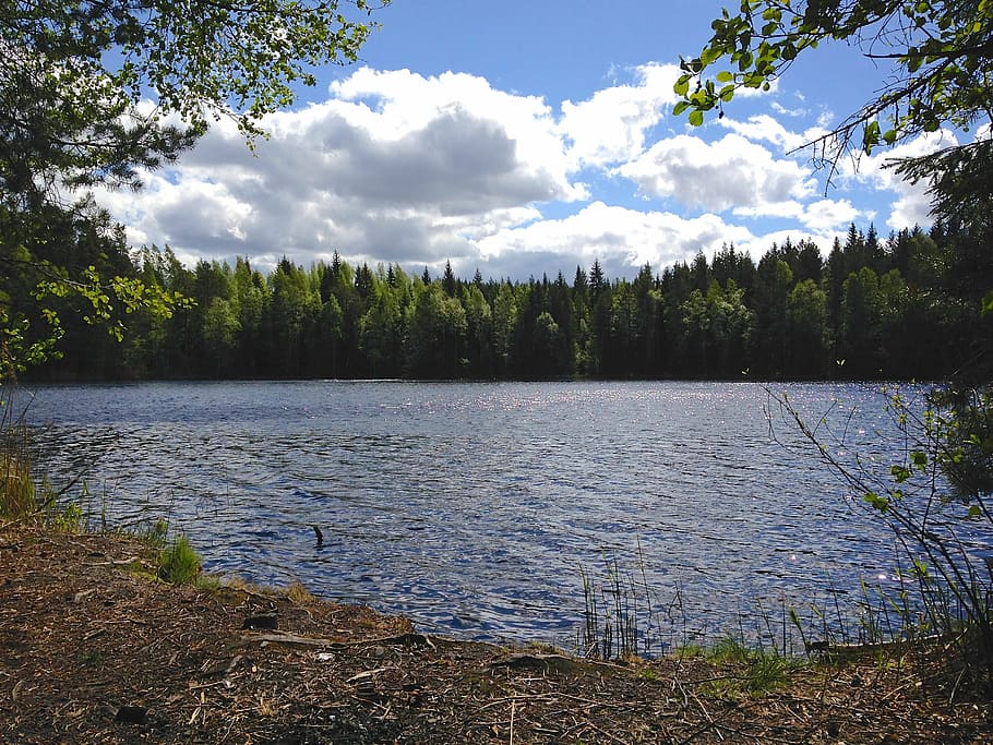Озеро в финляндии 5. Озера Финляндии. Скандинавские водоемы. Финляндия лес.
