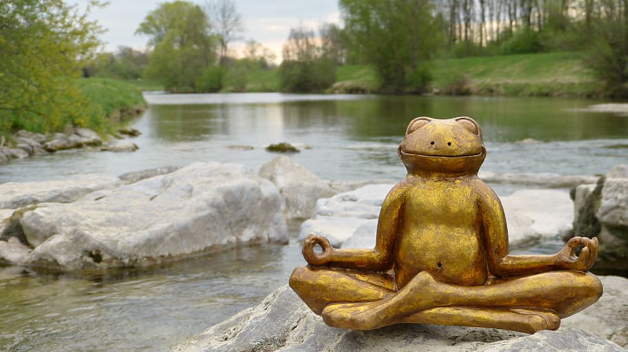 Brown, rana, meditando, figurilla, agua, río, cerámica, sonrisa, satisfecho, relajarse