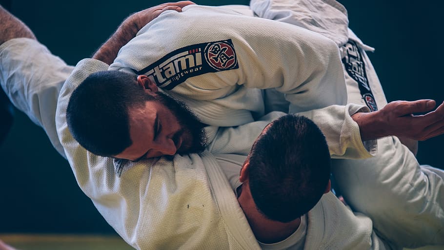 two, men, playing, judo, brazilian jiu-jitsu, bjj, combat, sport, two people, rear view