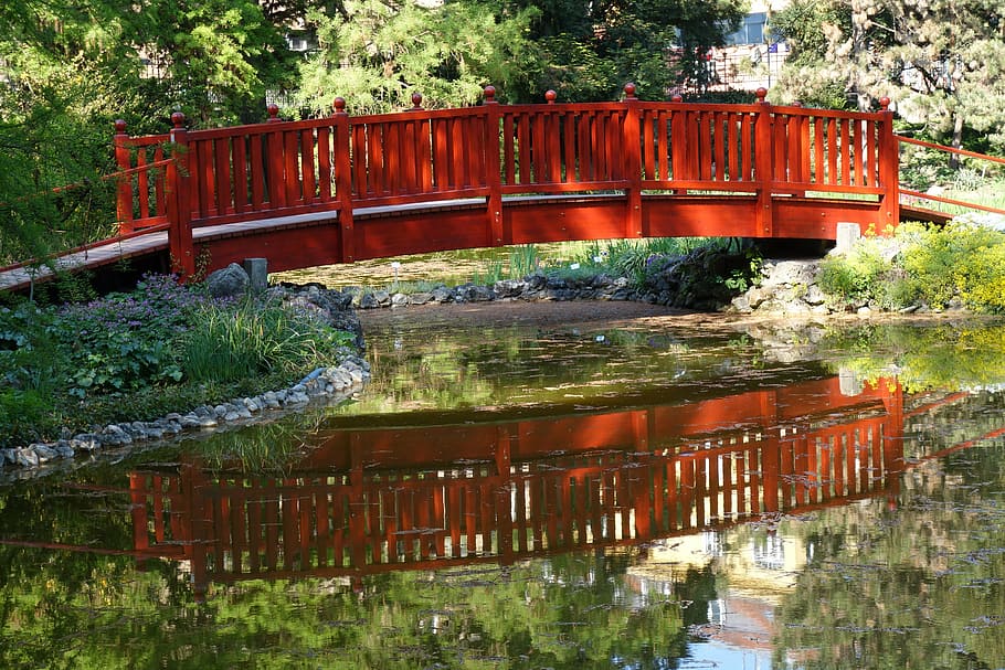 wooden, bridge, arhitecture, water, reflexion, park, plant, nature, architecture, built structure