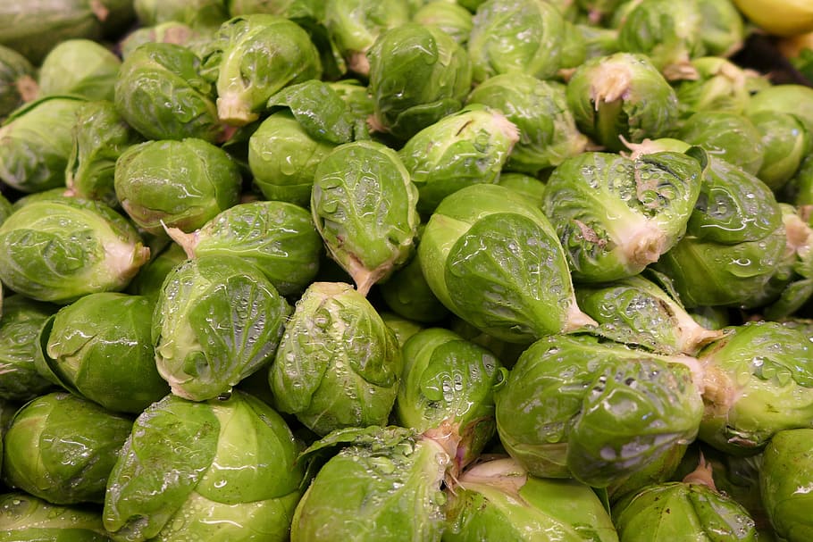 Brussel Sprouts, Vegetable, Green, vegetable, green, garden, ingredients, brussels sprouts, food and drink, green color, freshness