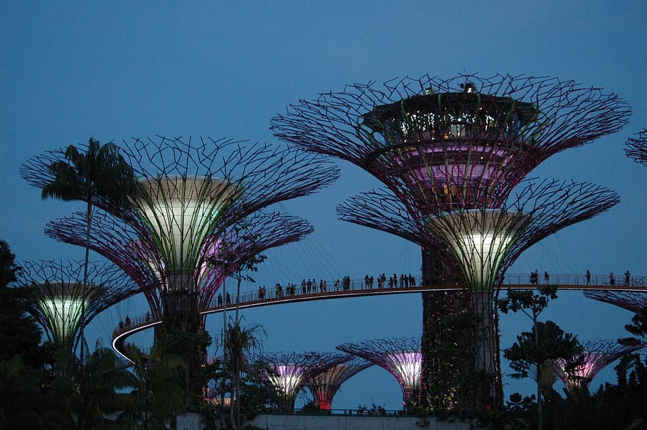 singapore gardens, attraction, trees, park, sky, tree, architecture, plant, illuminated, night