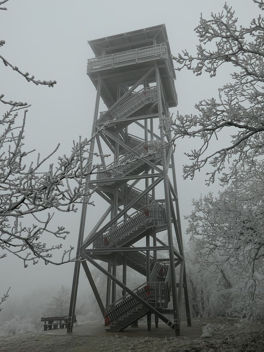 tower, the fog, snow, icing, trees, nature, country, winter, tree, built structure