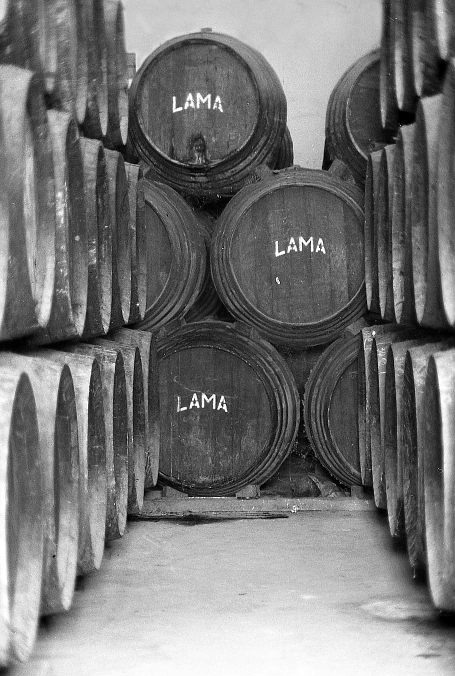 winery, barrel, wine, cask, barrels, andana, text, communication, indoors, cellar