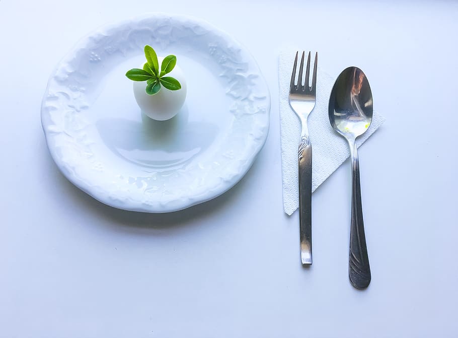 minimalism, diet, egg, plant, dish, silverware, white, simple, kitchen, breakfast