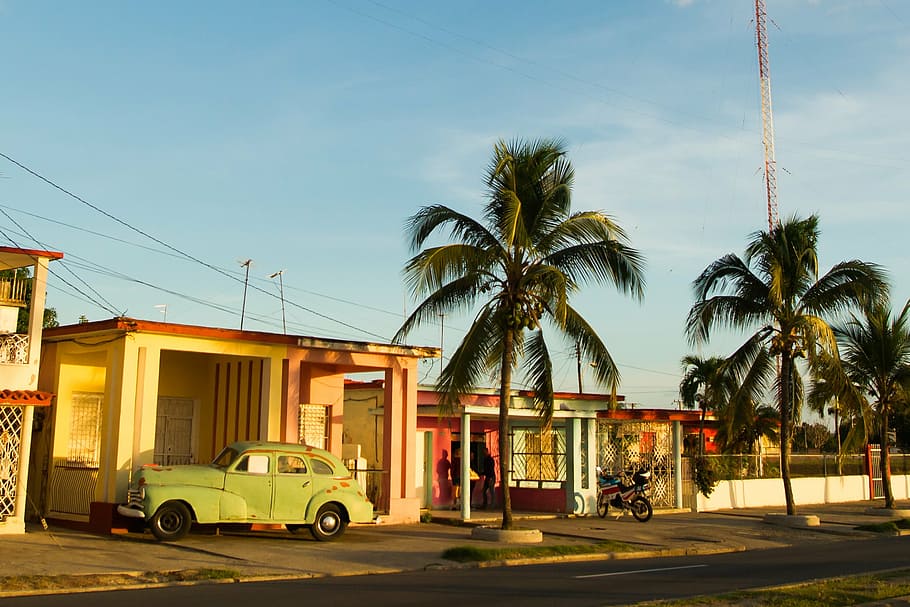 green, vehicle park, ahead, house, palm trees, cuba, car, palm, view, retro