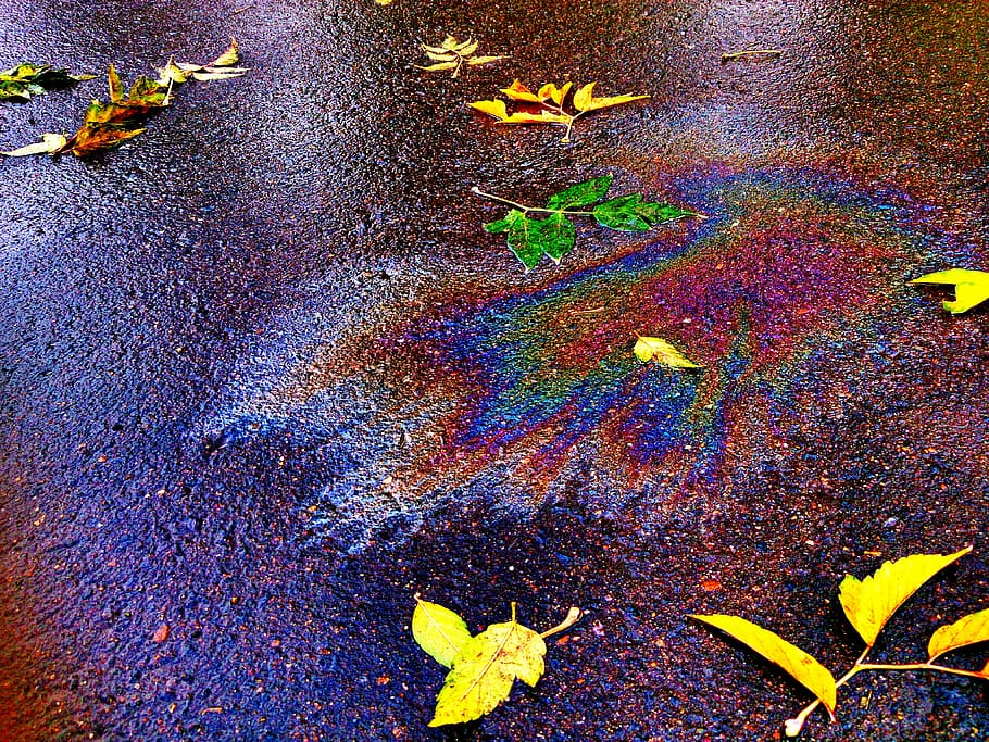 leaves, scattered, ground, autumn, fall colors, gasoline, spot, multi colored, oil spill, close-up