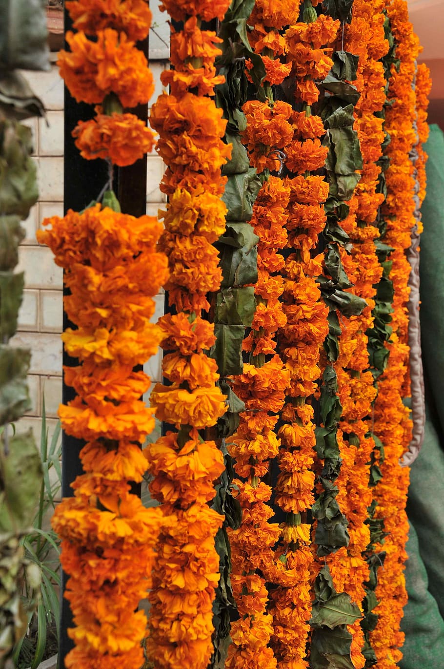 hanged, orange, flowers, wall, garland, decoration, marraige, india, flower decoration, welcome