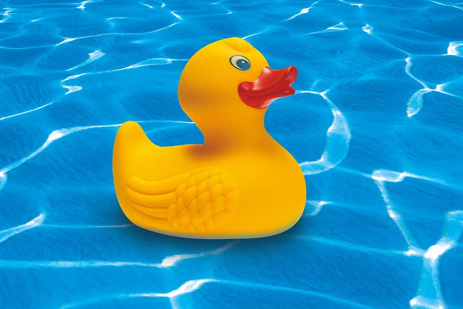 yellow, rubber ducky, water, rubber duck, squeak duck, toys, toy duck, summer, holiday, fun bathing