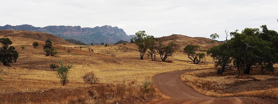carretera, árboles, distante, montaña, outback australia, gamas de flinders, remoto, tesoro muerto, árido, montañas