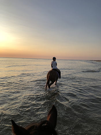 sea-horse-ride-beach-sunset-coast-royalty-free-thumbnail.jpg