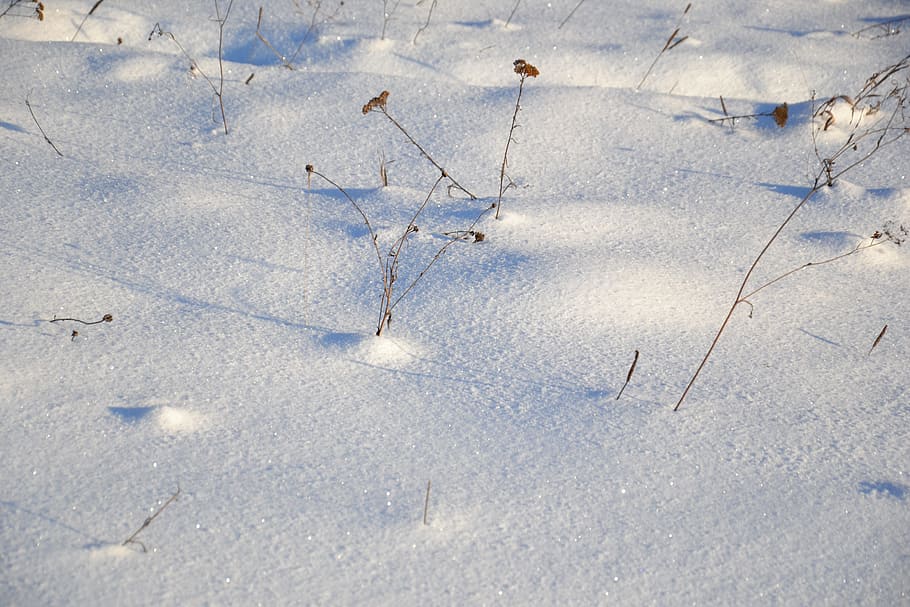 Winter, Snow, Nature, Landscape, Field, shadow, frost, cold, snowdrifts, winter background