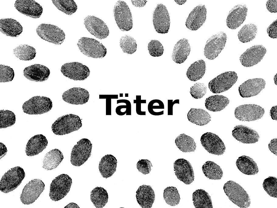texto do tater, traços, impressões digitais, cena do crime, ofensor, polícia, investigação, caça, detetive, processo criminal