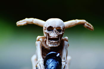 biker-skeleton-creepy-weird-royalty-free