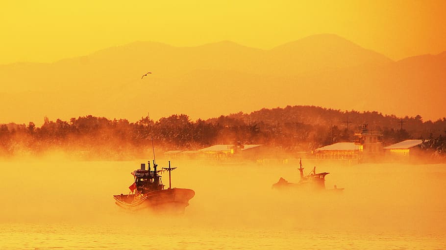 sunrise, dawn, sun mu, gangneung, between the tianjin airport, fisherman, this type, fog, water, transportation
