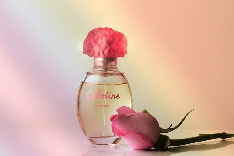 calotine perfume bottle, perfume, fragrance, rose, perfume bottle, still life, decorative, bottle, aroma, gift
