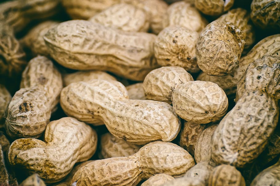 peanuts, shell, eat, nuts, food, nutrition, nut, delicious, tasty, healthy