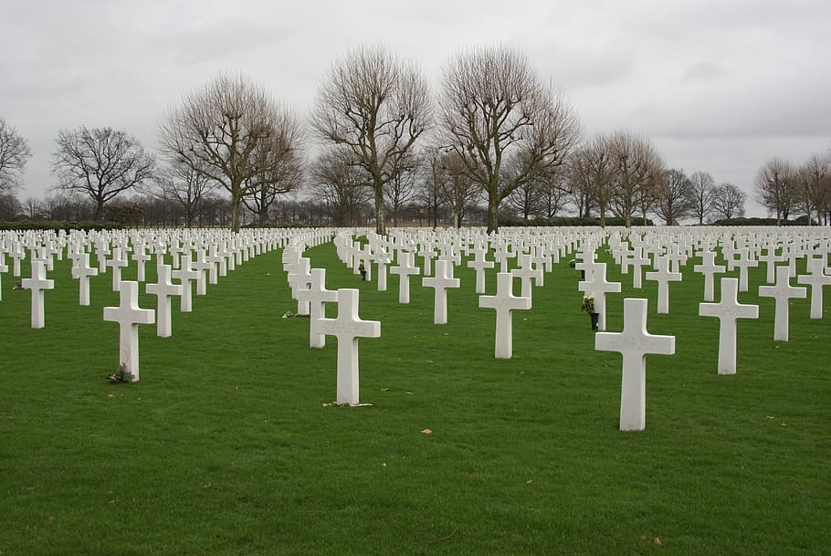 margraten, cemetery, commemorate, second world war, grave, tombstone, memorial, plant, grass, in a row